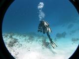 2011-09-05 11-37-58 Steven